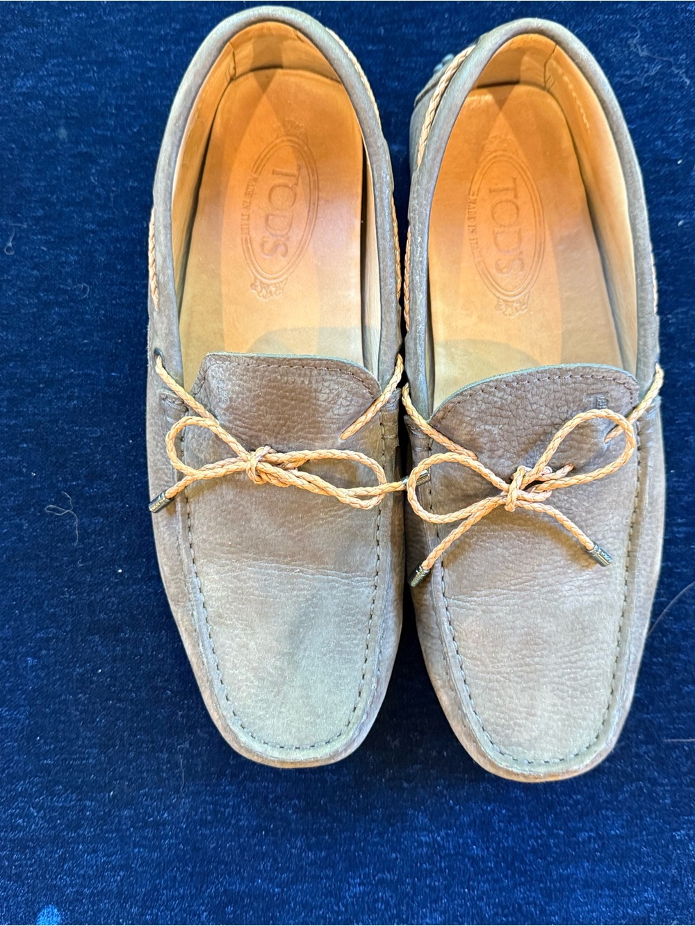 Tod's Taupe Suede Driving Loafers with Braided Lace